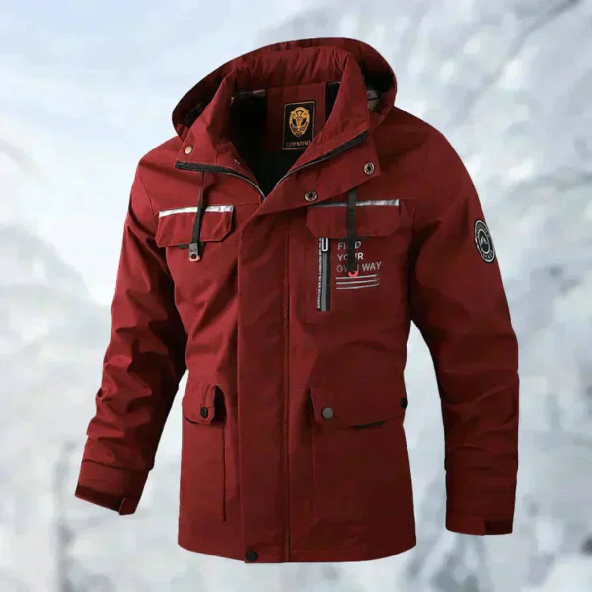 Harden | Veste d'hiver pour hommes avec capuche